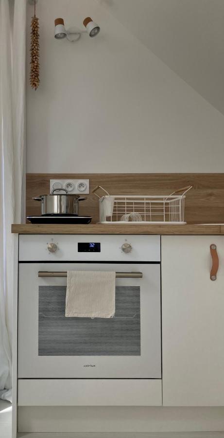 Studio Cosy Avec Coin Jardin ランシュー エクステリア 写真