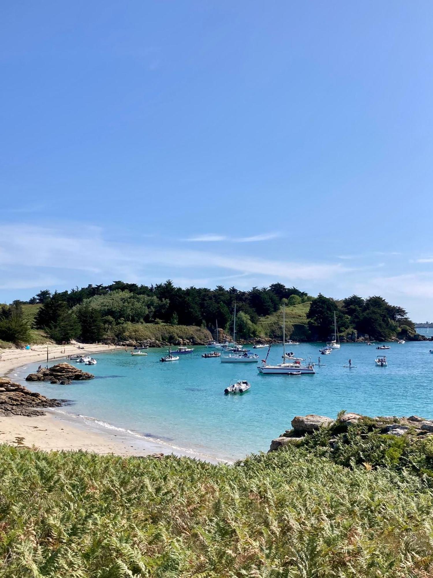 Studio Cosy Avec Coin Jardin ランシュー エクステリア 写真